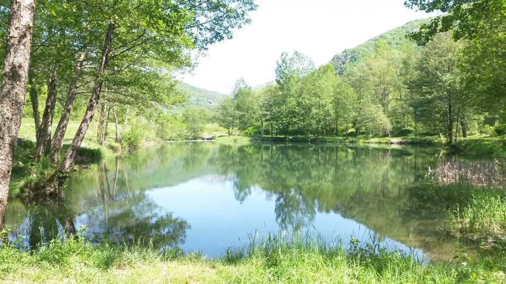 Camping Paradis La Marmotte 阿克斯莱泰尔姆 外观 照片